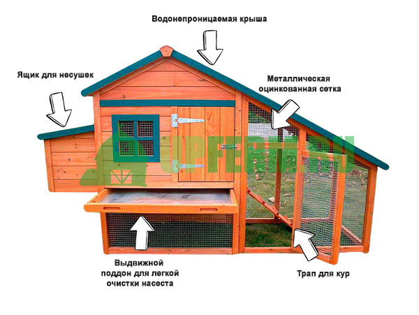 Курятник своими руками на 20 кур летний для бройлеров фото и описание