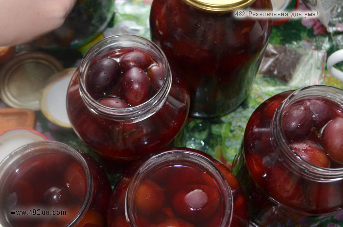 Алыча на зиму - рецепты вкусной консервации от варенья до соуса к мясу