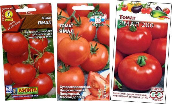 Как вырастить томат "ямал": правила посадки и ухода