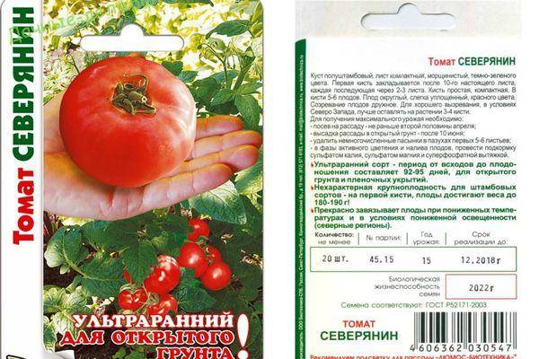 Удивительный сорт томата «ультраскороспелый» f1: характеристика и описание раннеспелого парникового вида помидор, фото спелых плодов
