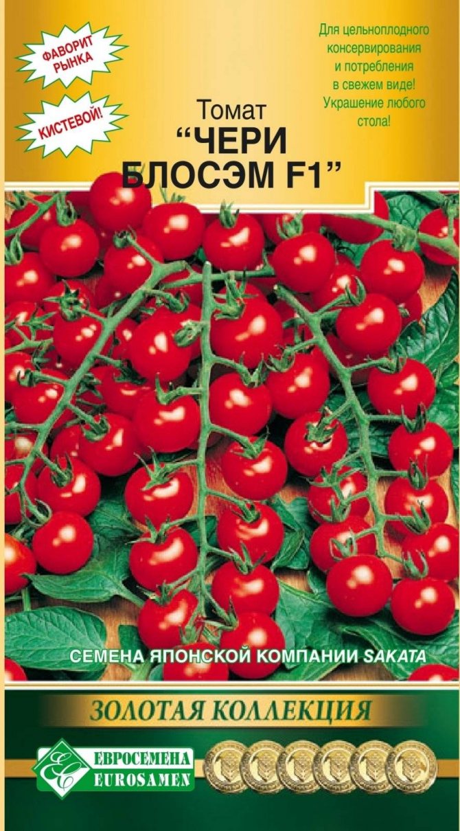Гибрид с отличным внешним видом — томат черри краски партнер: описание и характеристики сорта