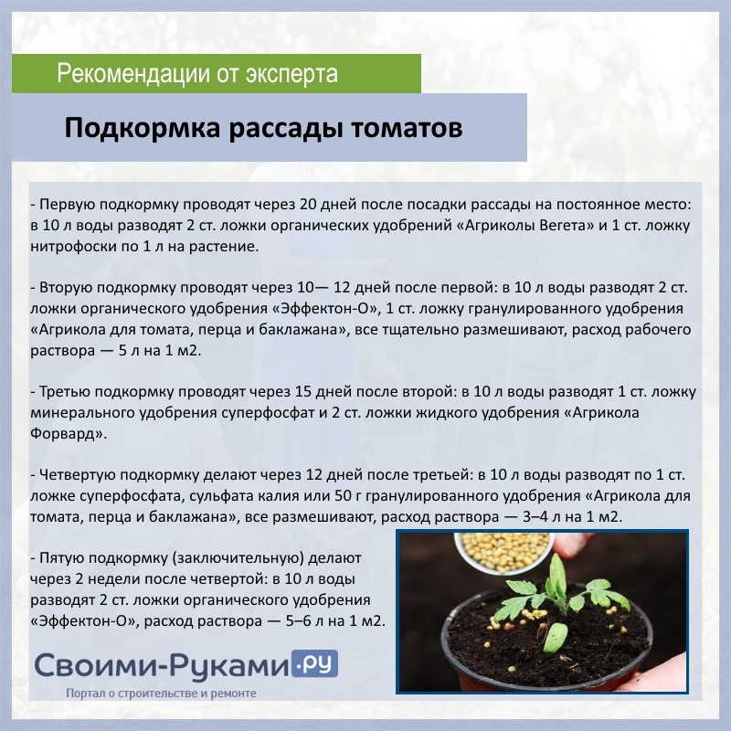 Подкормка огурцов в теплице пометом, золой > видео + схема ухода осенью в августе