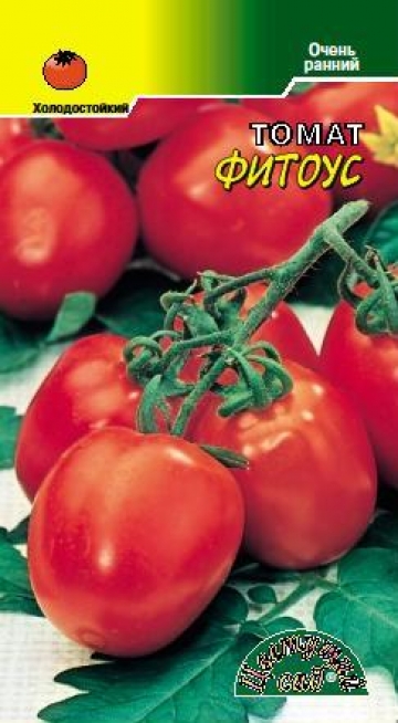 Сорта томатов устойчивых к фитофторозу | tomatland.ru