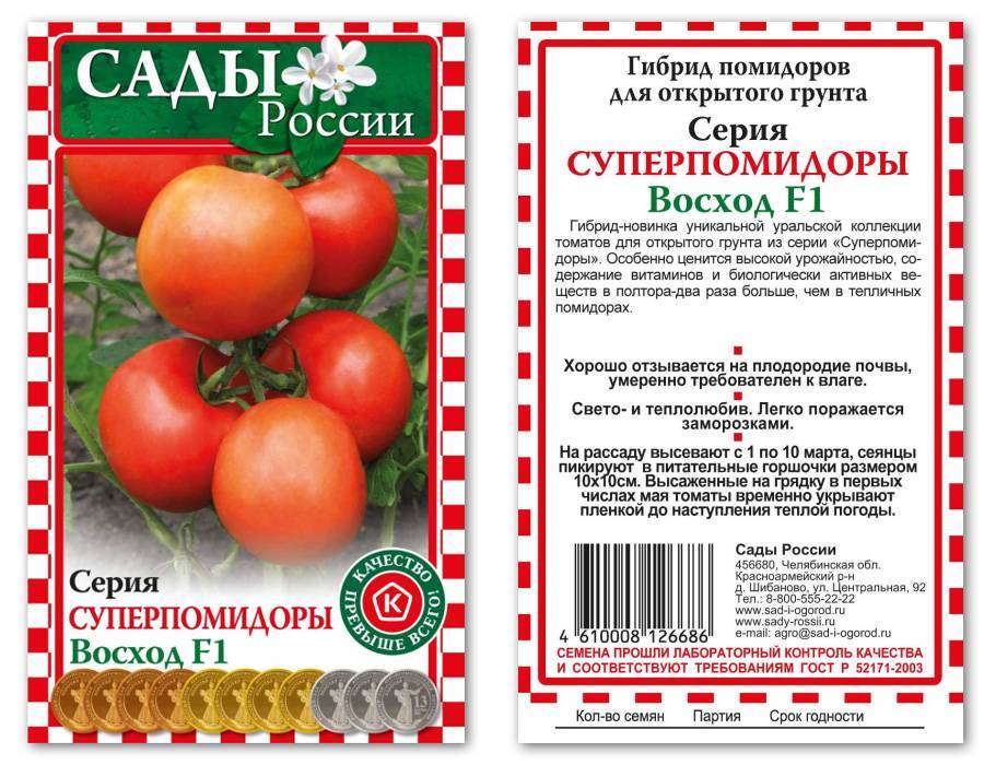 Ранние низкорослые томаты сибирской селекции для открытого грунта