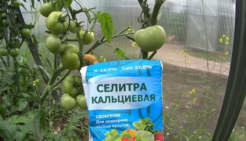 Кальциевая селитра – применение удобрения на огороде