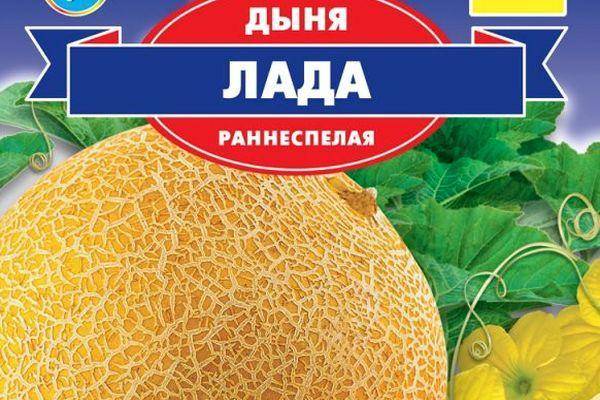 Сорта дыни с описанием, характеристикой и отзывами, а также какие выбрать для выращивания в средней полосы россии, сибири, подмосковье и в других регионах