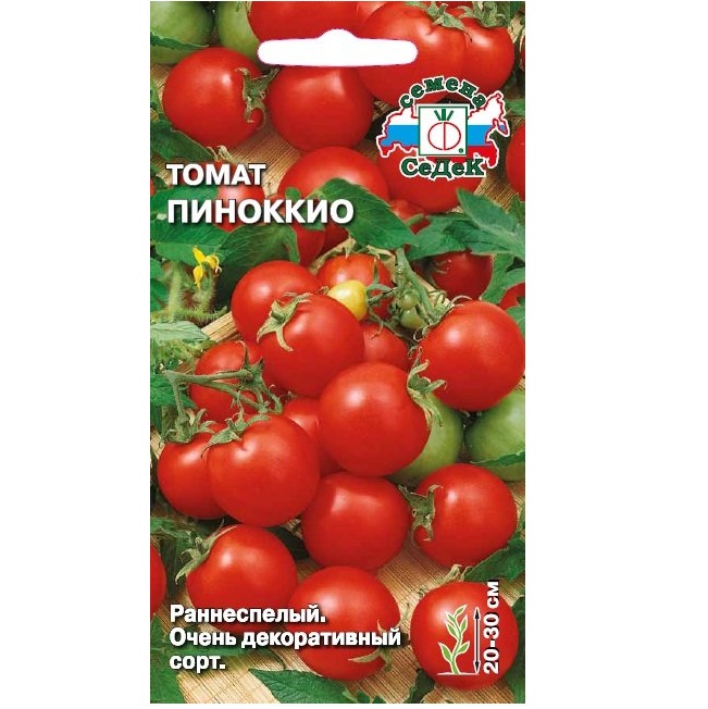 Выращивание комнатного томата