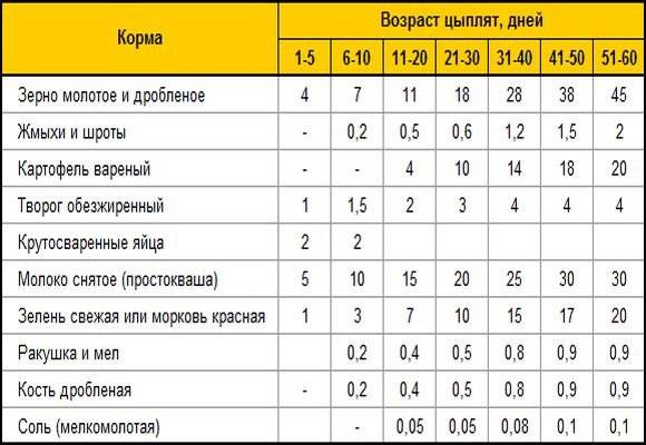 Куры бройлеры: содержание и кормление, правильный уход в домашних условиях selo.guru — интернет портал о сельском хозяйстве