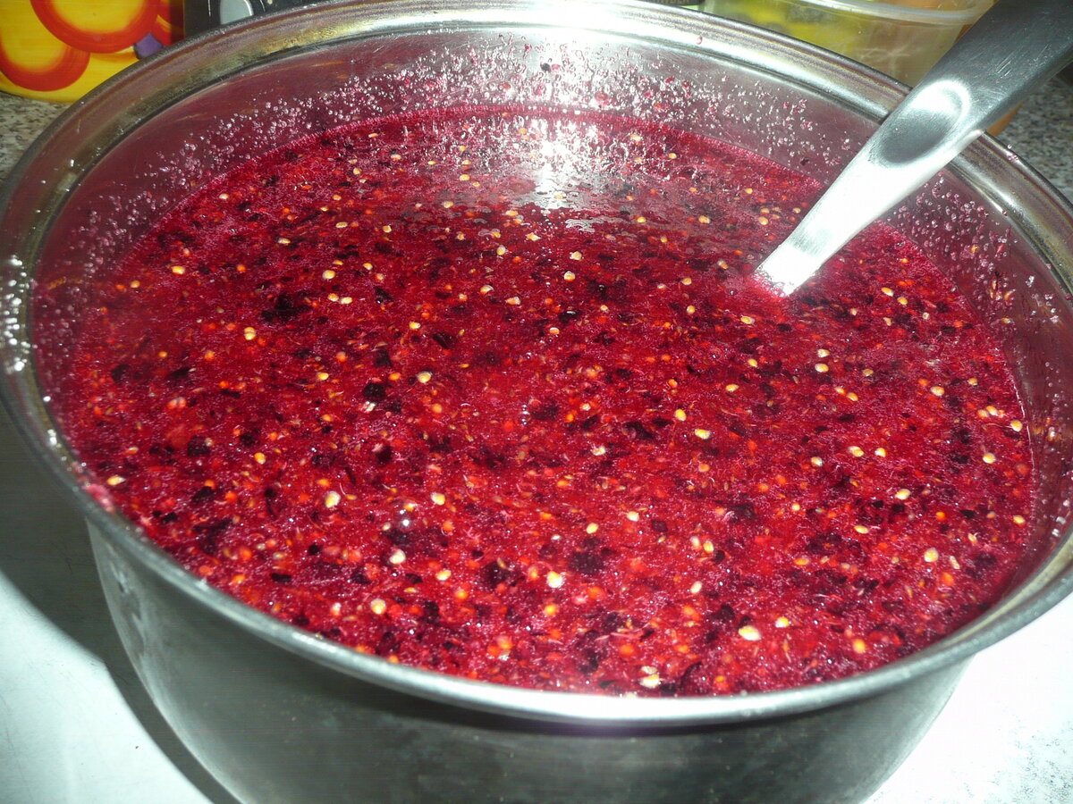 Рецепты заготовок из красной смородины на зиму: что сделать из ягод, можно ли быстро приготовить компот, делают ли из нее варенье без сахара