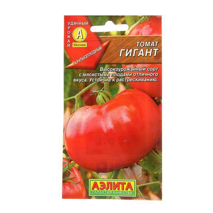 Томат “оранжевый гигант”: популярный среди любителей и профессионалов в выращивании помидор