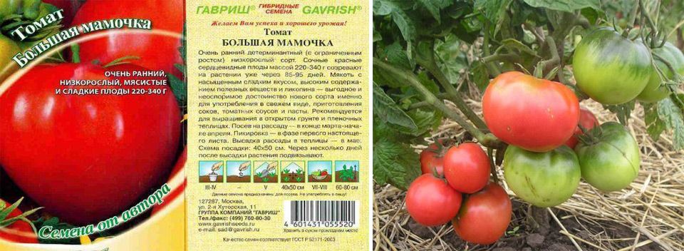 Томаты для красноярского края лучшие сорта. томаты — лучшие сорта для открытого грунта | дачная жизнь