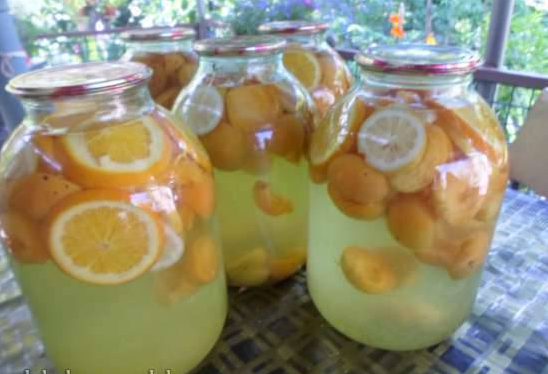 Фанта из абрикосов и апельсинов на зиму: топ 6 рецептов приготовления компота
