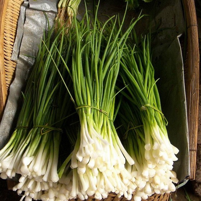 Лук сноуболл: описание сорта белого овоща, выращивание из севка, правила посадки и ухода для лучшей урожайности, нюансы хранения