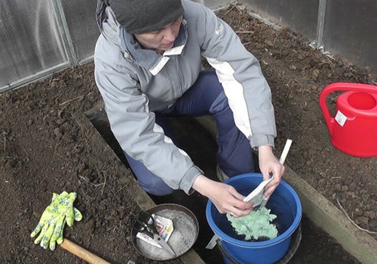 Почва для огурцов в теплице - чем обработать землю после, подготовка грядки осенью