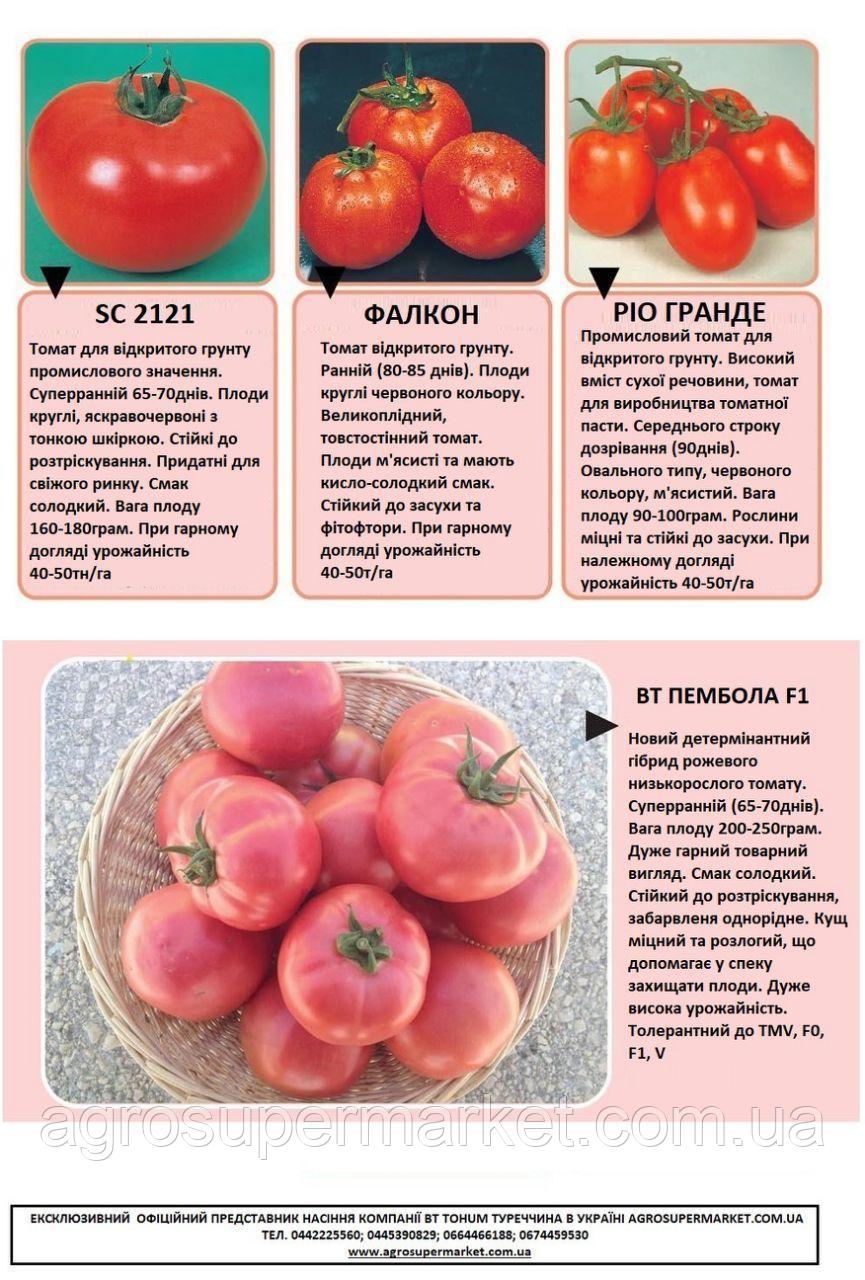 Томат яблоки на снегу: характеристика и описание сорта, урожайность с фото