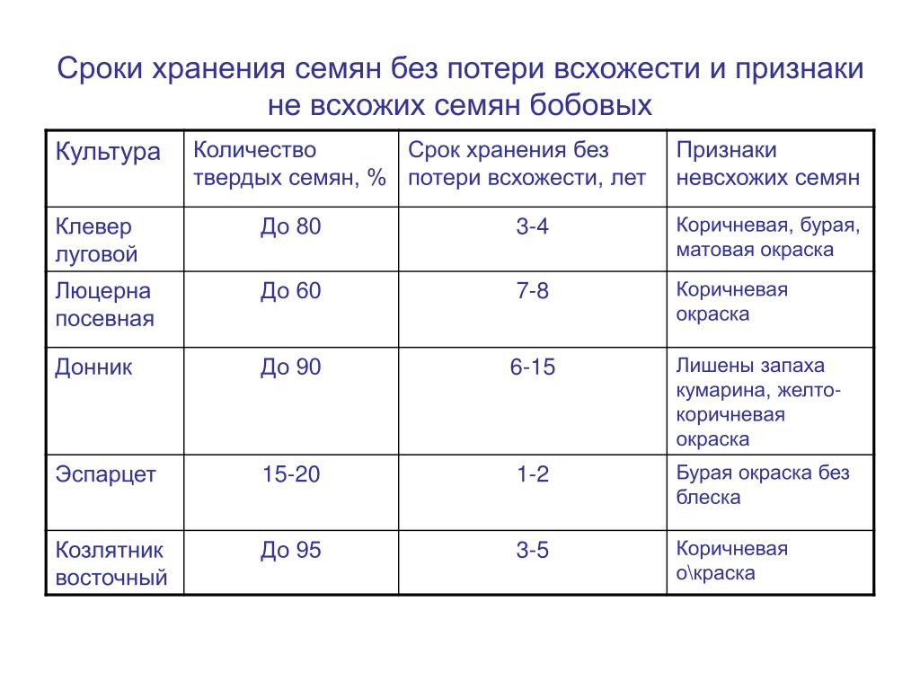 Сроки хранения семян цветов
