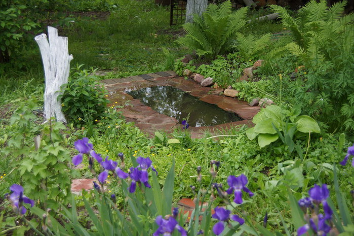 Как сделать пруд своими руками: 100 фото с инструкцией - огород, сад, балкон - медиаплатформа миртесен