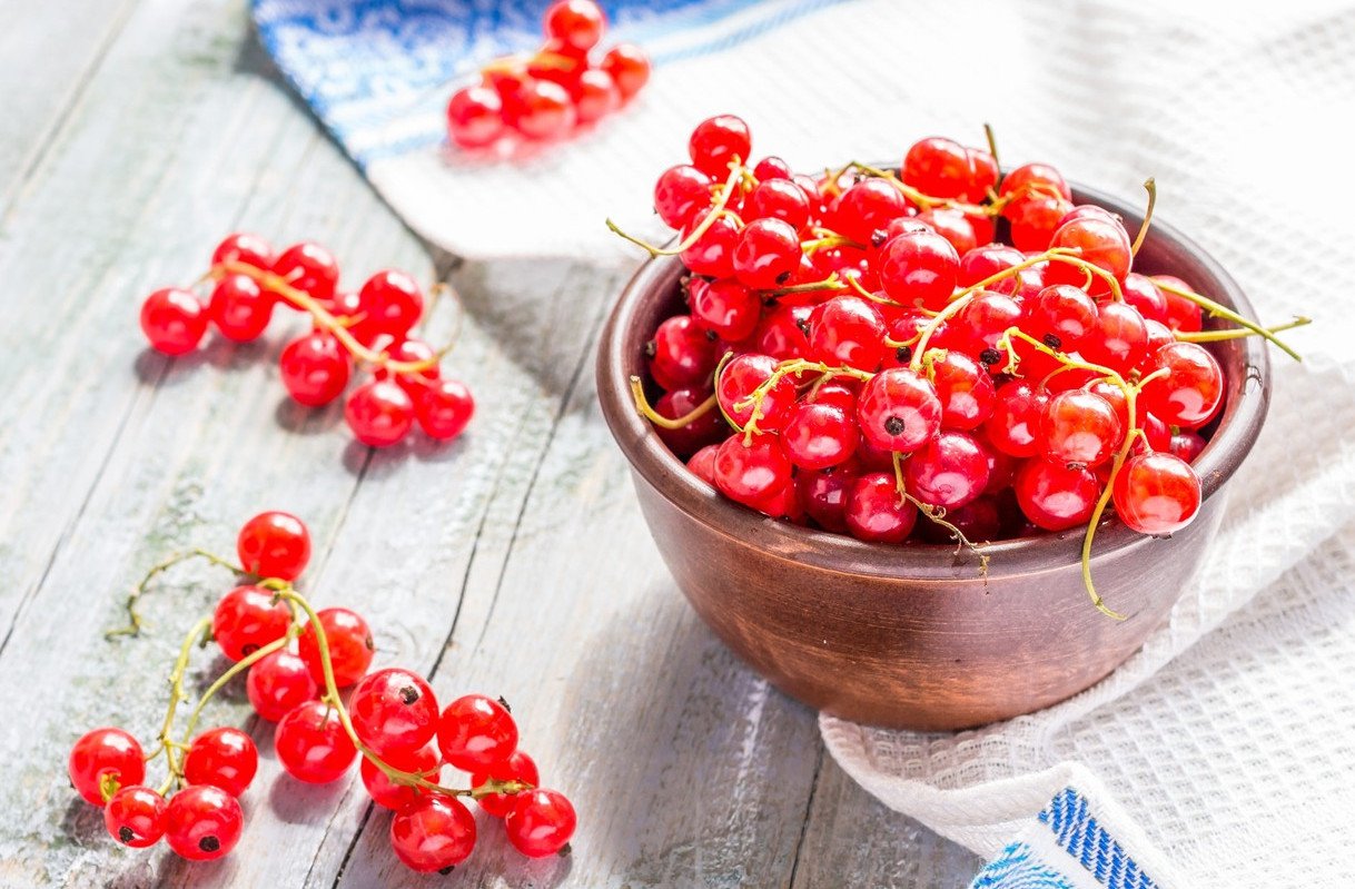 Красная смородина: польза и вред для здоровья, свойства, калорийность