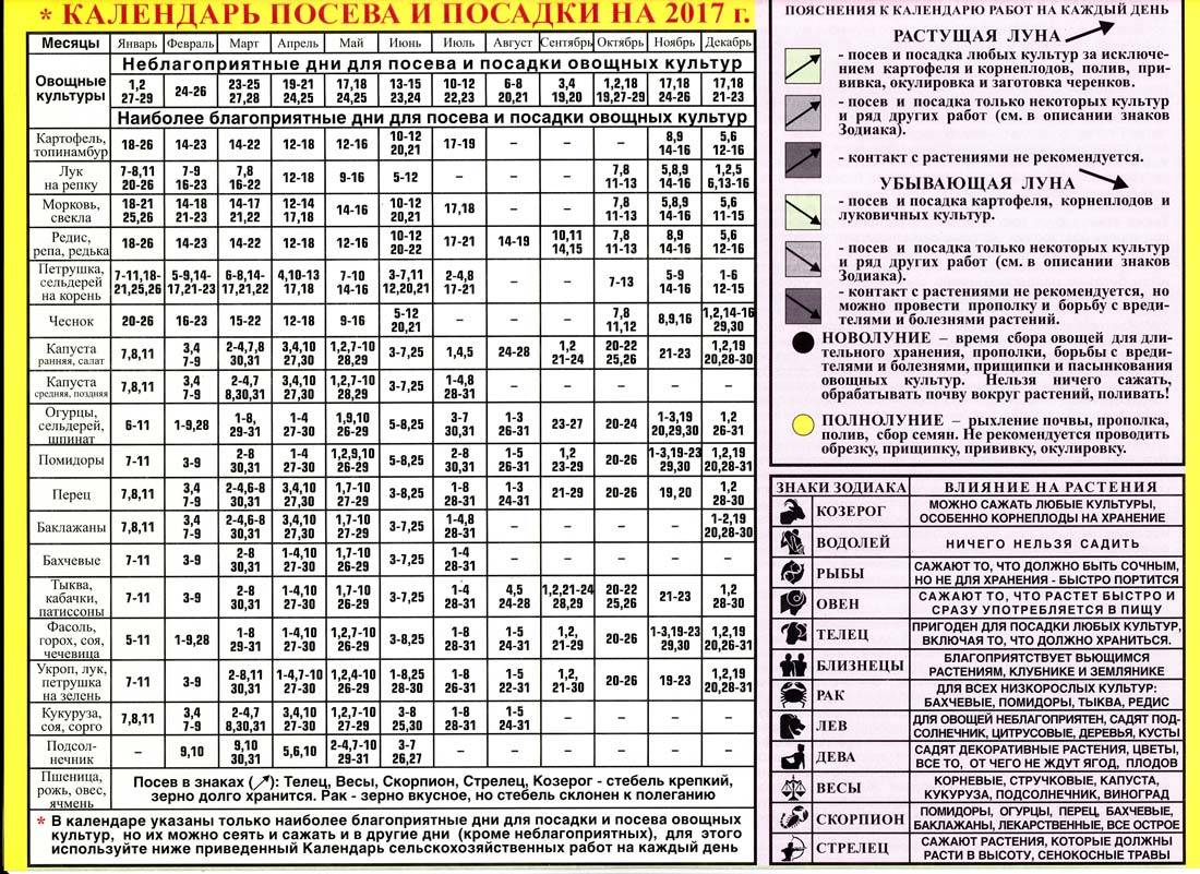 Уборка овощных культур по лунному календарю