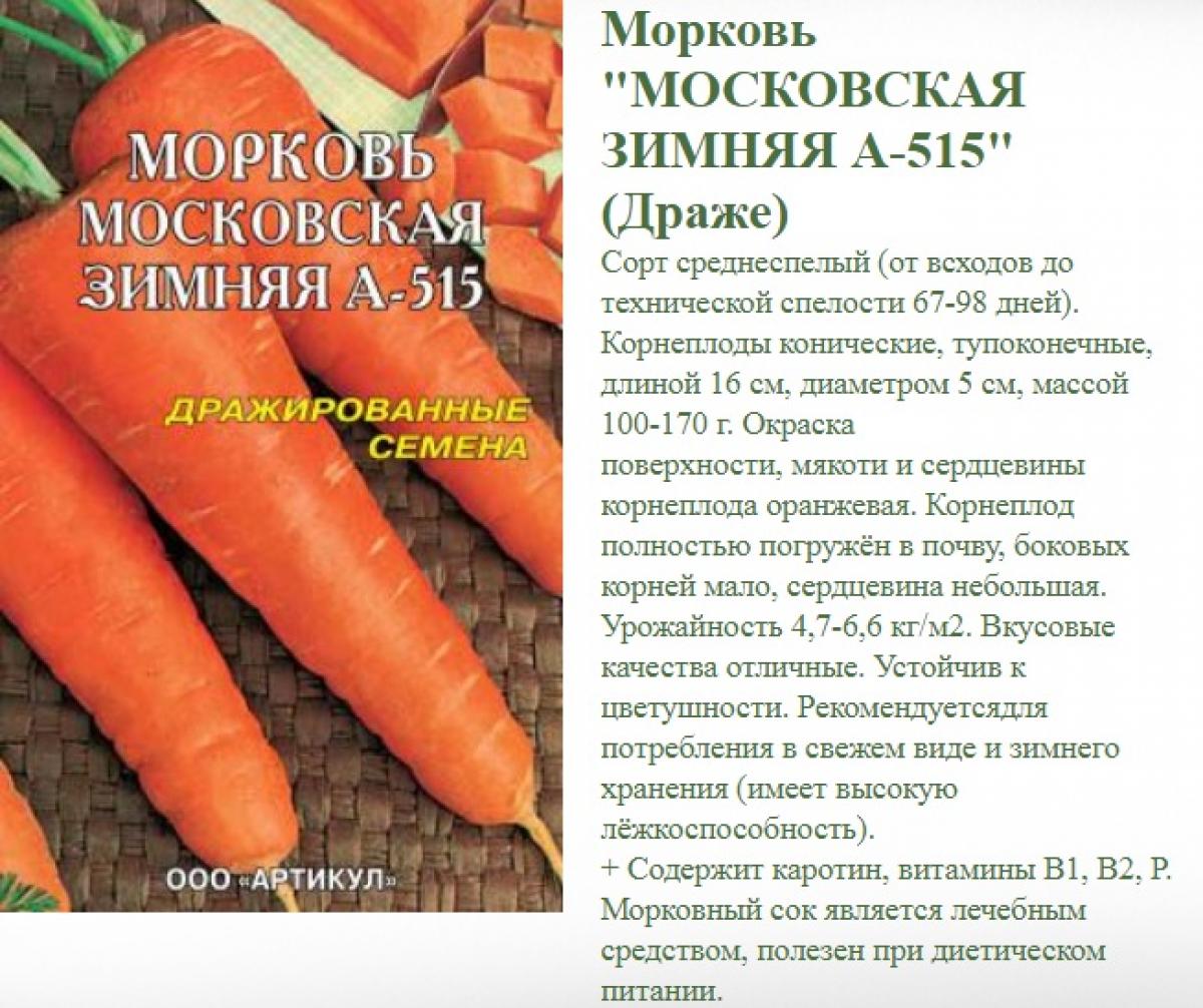 35 популярных сортов моркови - название, описание, фото