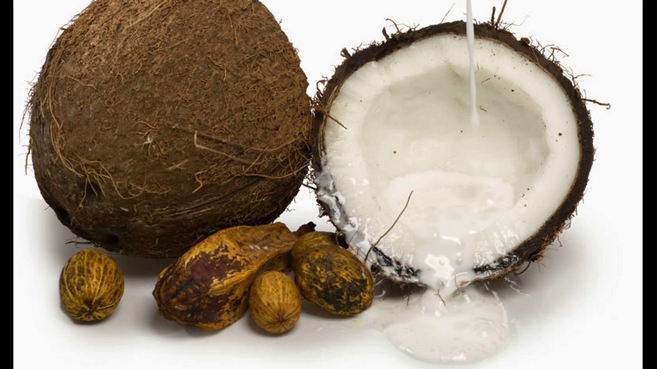 Что такое кокос, это фрукт или орех, где растёт, в чем польза? интересные факты, правила выращивания и применения