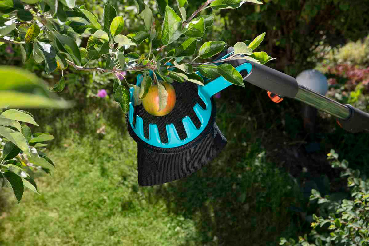 Приспособление для сбора яблок с дерева и с земли, как сделать плодосъемник своими руками