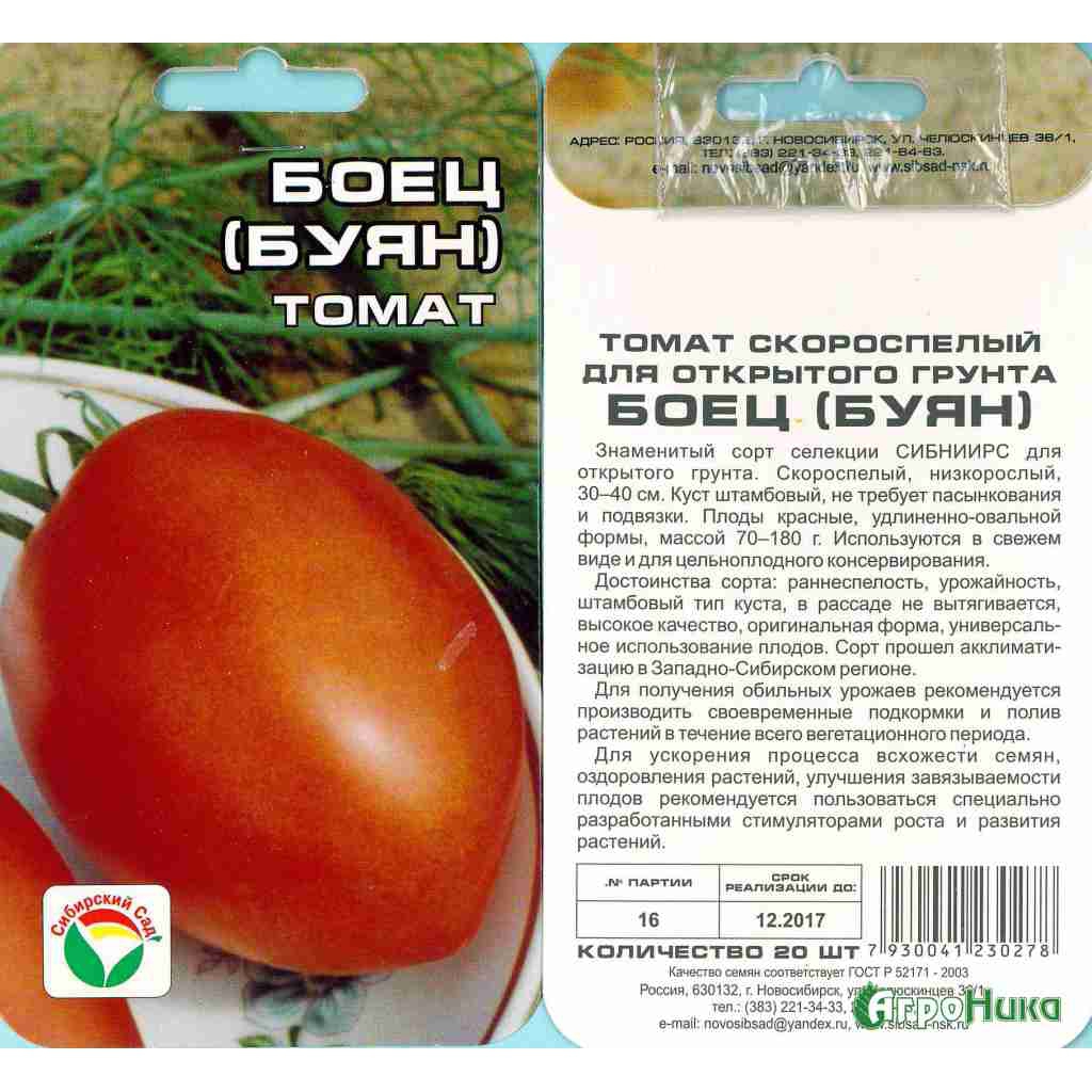 Томат "буян" ("боец"): фото касного и желтого сорта, описание и основные характеристики помидоры русский фермер