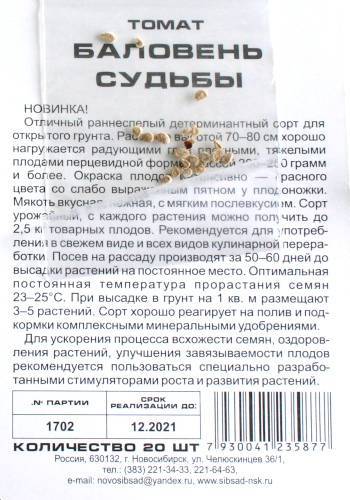 Томат баловень судьбы. Баловень судьбы томат описание. Томат баловень судьбы томат баловень описание сорта. Описание и характеристика сорта томат баловень описание сорта. Томат баловень судьбы характеристика и описание.