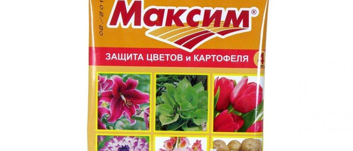 Апрельская обработка яблонь в 2019 году: самые опасные болезни и вредители, схемы защитных обработок | теплотехники