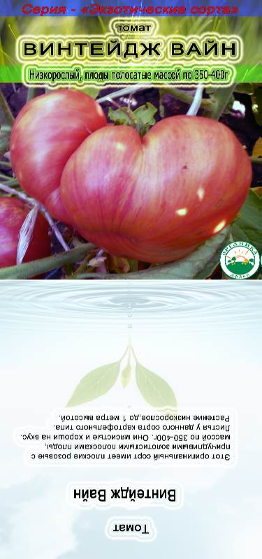 Описание сорта томата винтейдж вайн, его характеристика и урожайность – дачные дела