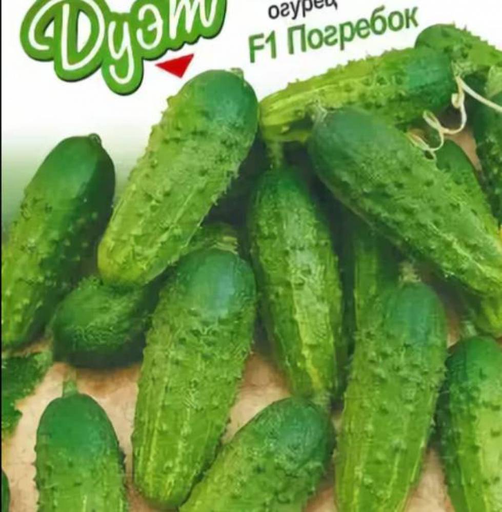 Огурец клавдия f1: отзывы, описание сорта, фото, характеристика