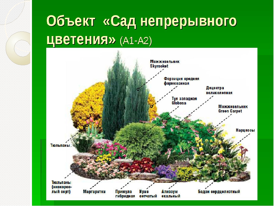 Альпинарии: виды, особенности и нюансы. выбираем альпинарий вместе с leplants.ru