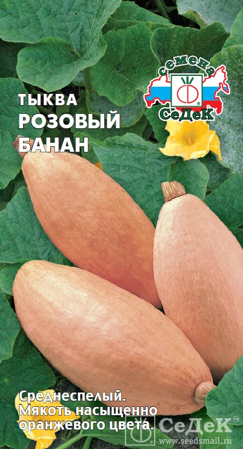 Крупноплодные сорта тыквы россиянка, конфетка, крошка, стофунтовая: описание с фото
