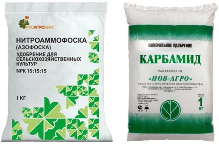 Нитрофоска — особенности применения для различных культур — ботаничка.ru