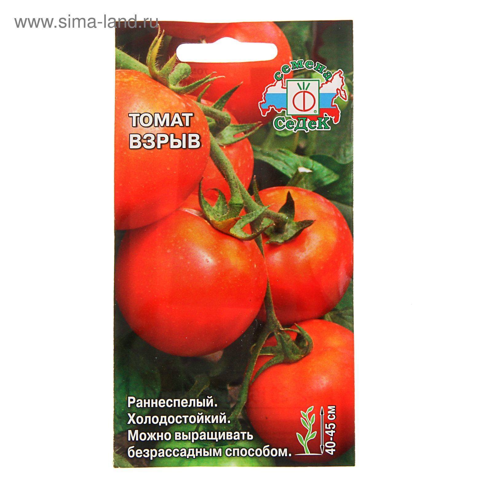 Описание лучших сортов безрассадных томатов и технология выращивания