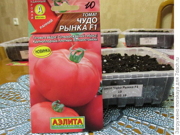 Томат «супермодель», описание сорта и характеристика урожайности помидора (фото)