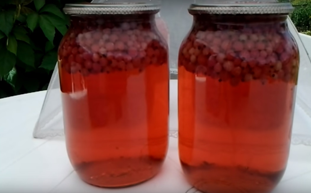 Компот из красной черемухи на зиму: топ 10 рецептов приготовления с фото и видео