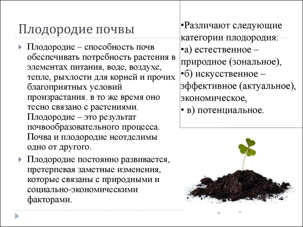 Топ-8 способов как повысить плодородие почвы