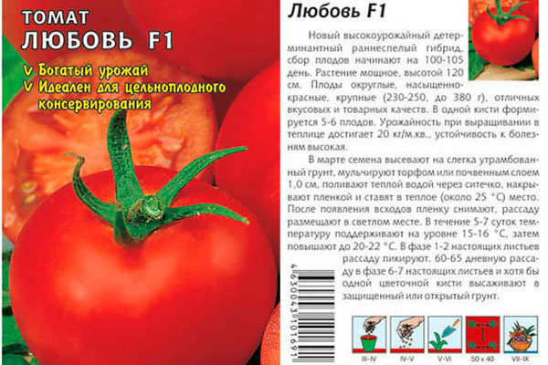 Ранние сорта помидор - обзор самых популярных ранних сортов томатов и нюансов их выращивания