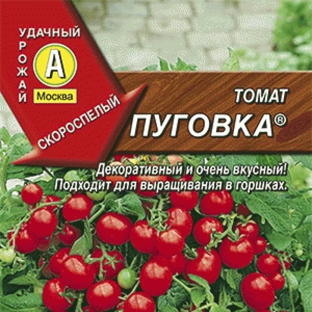Пуговка помидоры как выращивать в какой горшочек посадить - журнал садовода ryazanameli.ru