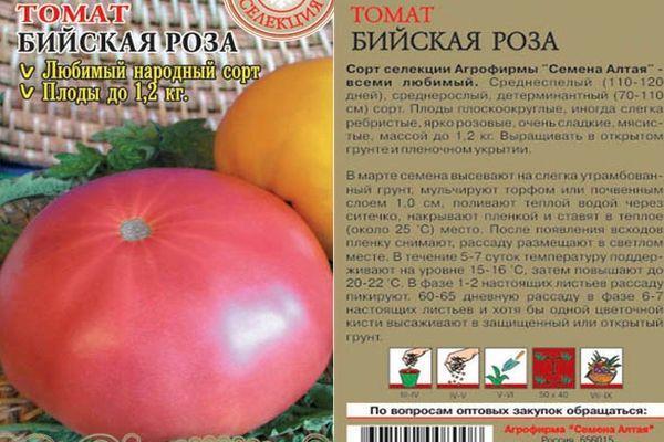 Характеристика и описание сорта томатов бийская роза и бийский розан