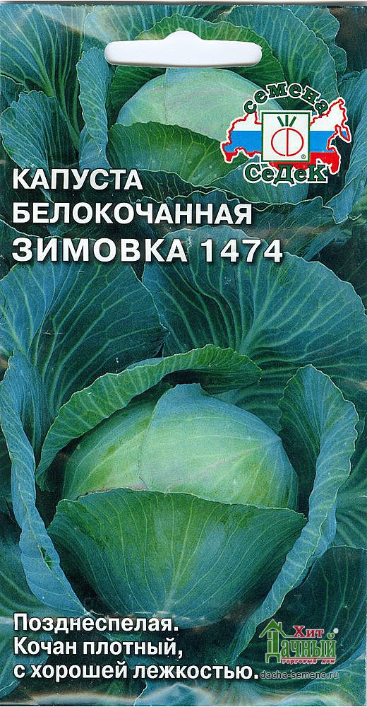 Ранние, средние и поздние сорта капусты для разных регионов россии
