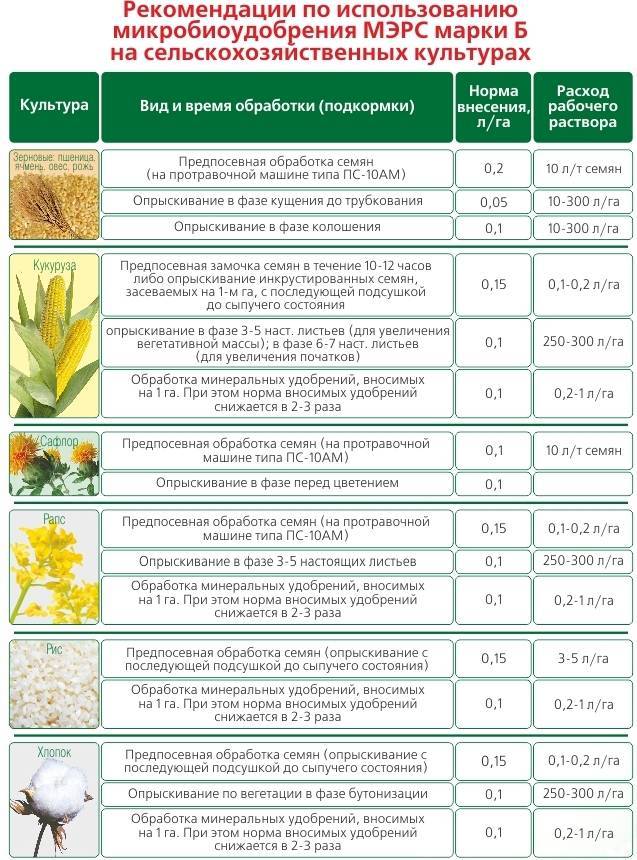 Что такое подкормка мочевина овощная подкормка