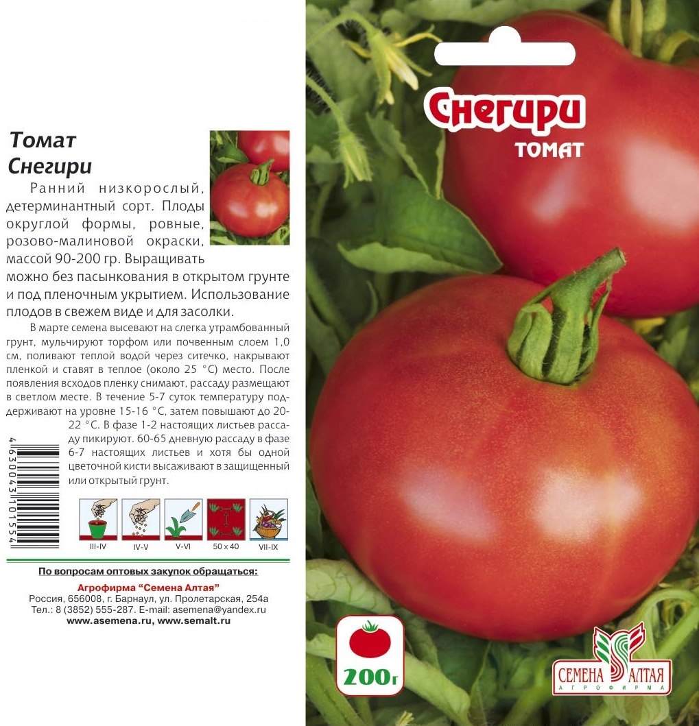 Сорт помидоров ляна – для тех, кто только осваивает огородную «науку»