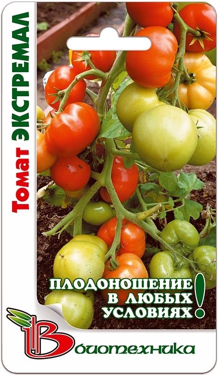 Помидоры "американские ребристые": описание плодов, урожайность, фото томатов, подверженность вредителям русский фермер