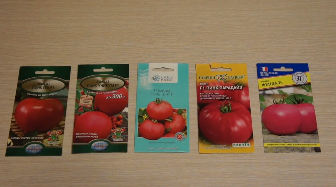 Сорт для масштабного выращивания — томат пинк пионер f1: отзывы об урожайности, описание гибрида