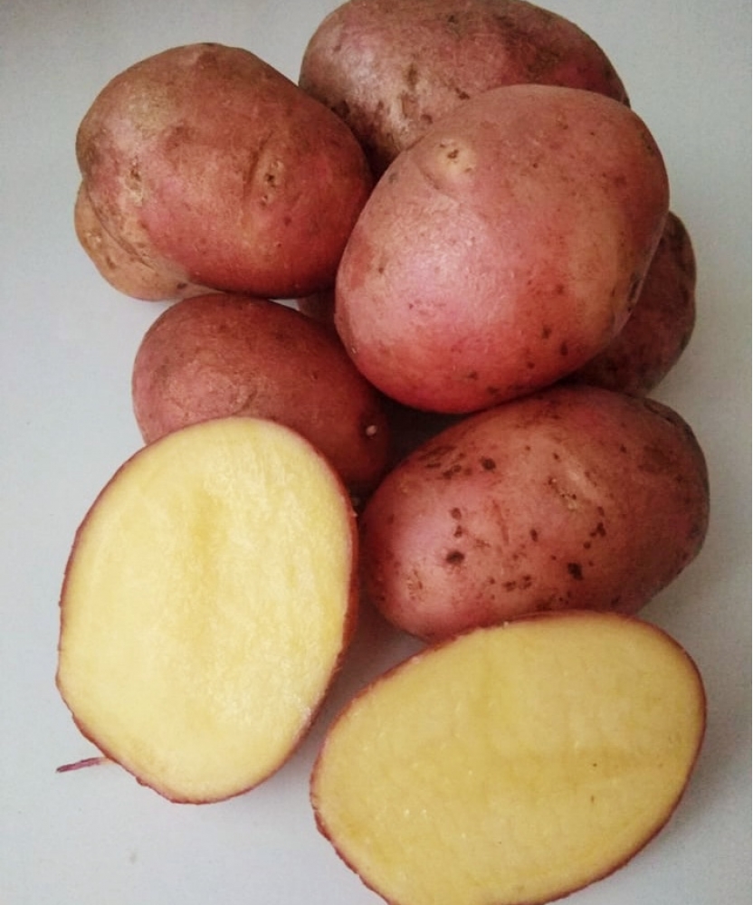 Какие сорта картофеля вкусные и полезные