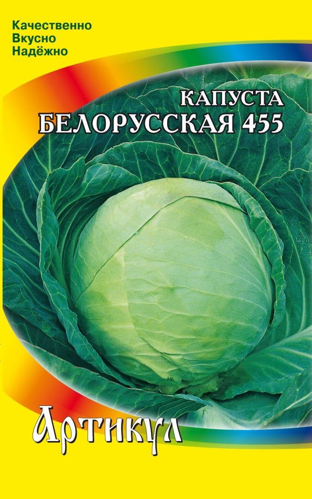 Капуста белорусская 455: описание, урожайность сорта, отзывы