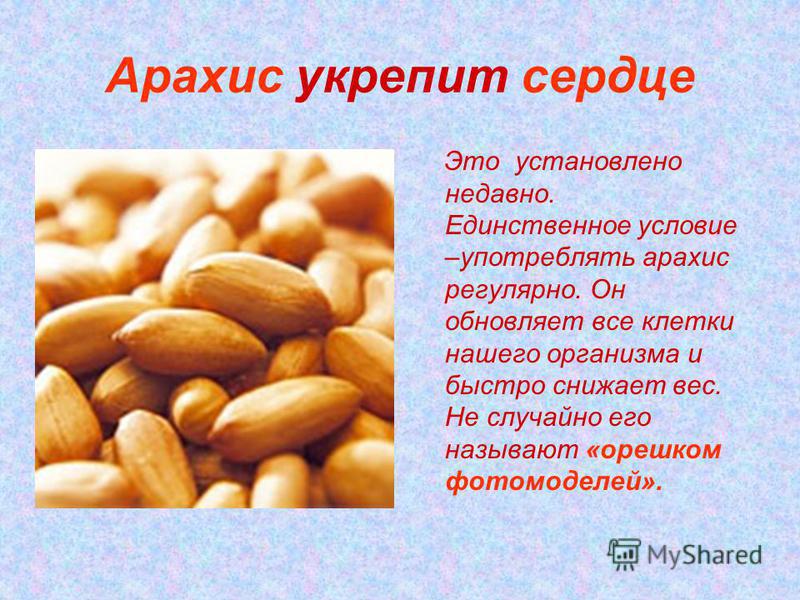Арахис обыкновенный, или земляной орех - arachis hypogaea l.