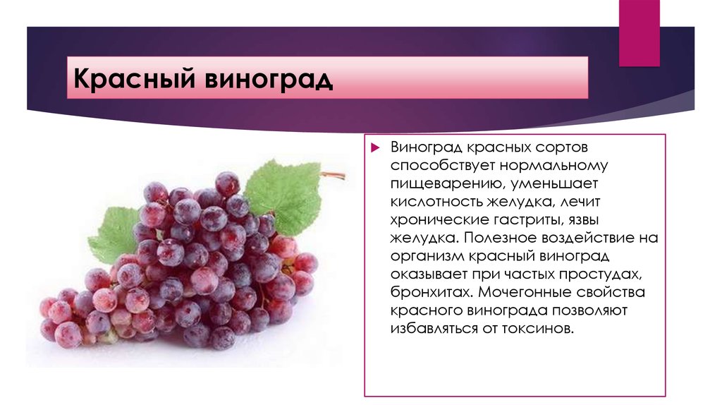 Виноград: польза и вред для организма - medical insider